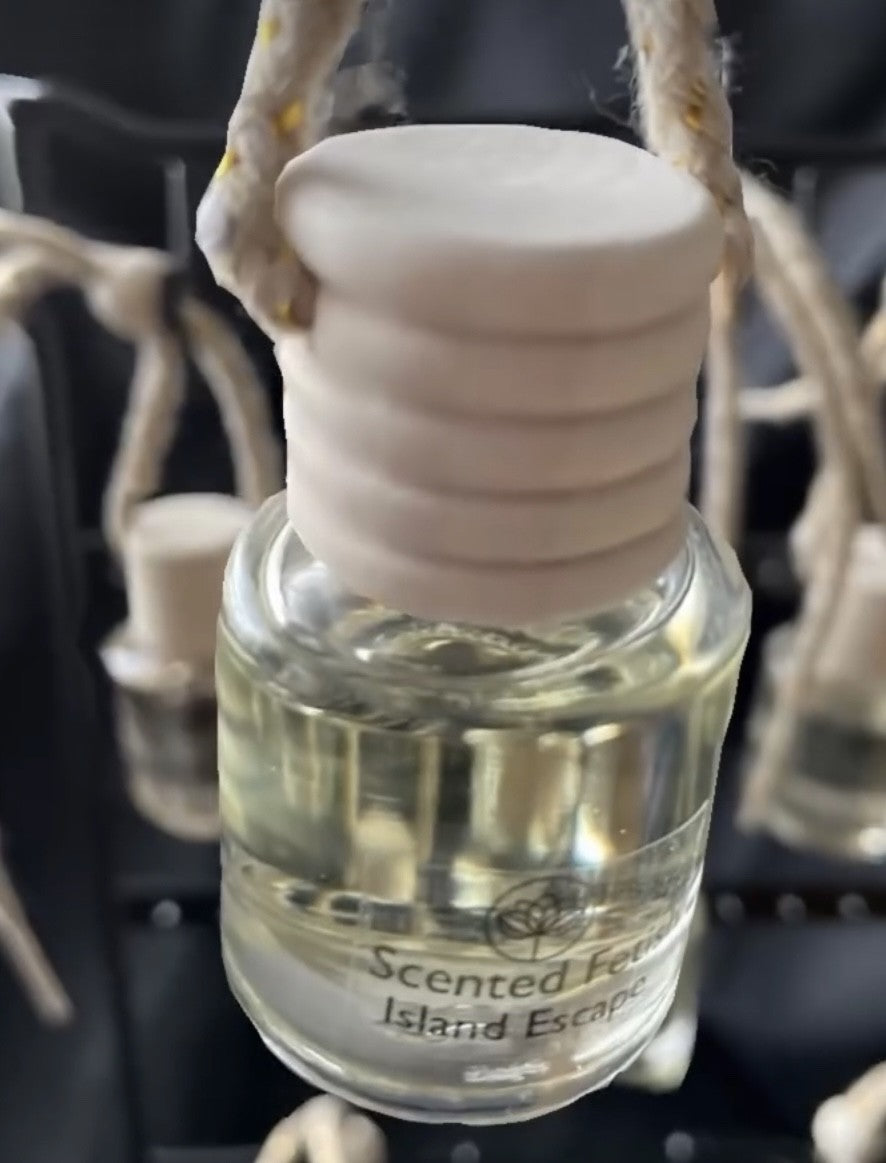 Car Air Freshener - Hanging Car Diffuser