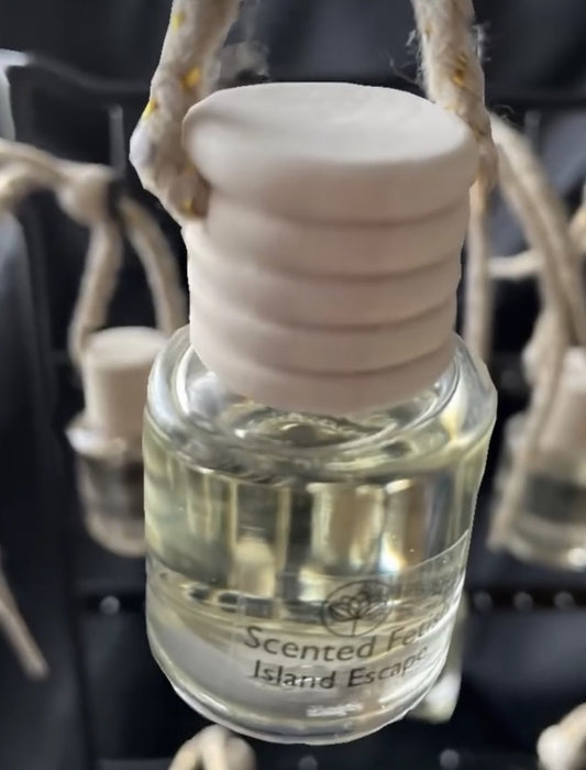 Car Air Freshener - Hanging Car Diffuser